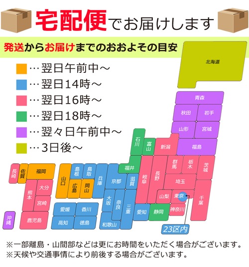 トランポリンクッション クッション型 トランポリン 大人用 クッション 角型 ステッパー ステップ運動 踏み台 ダイエット 健康 器具 昇降運動 フィットネス エクササイズ 328439 トランポリンクッション クッション型 トランポリン 大人用 クッション 角型 ステッパー ステップ運動 踏み台 ダイエット 健康 器具 昇降運動 フィットネス エクササイズ 328439