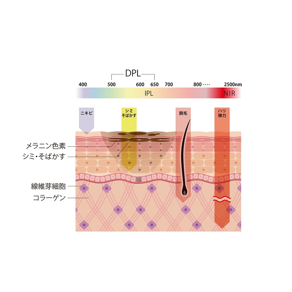 美顔器 保証付き スノーフラッシュ ブライトリフトケア DPL/NIR光美容器 3モード ハリ キメ 毛穴 透明感 ニキビ跡 ツヤ くすみ 赤み ほうれい線 肌ケア 美白ケア プレゼント お祝い 出産 美顔器 保証付き スノーフラッシュ ブライトリフトケア DPL/NIR光美容器 3モード ハリ キメ 毛穴 透明感 ニキビ跡 ツヤ くすみ 赤み ほうれい線 肌ケア 美白ケア プレゼント お祝い 出産