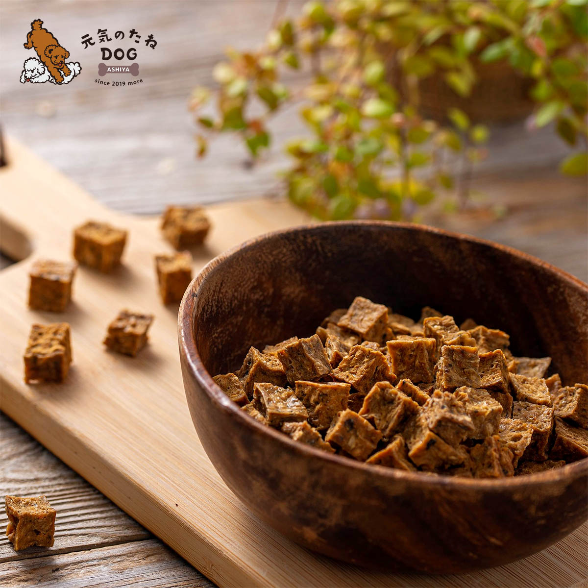 犬 猫 おやつ 国産 無添加 鮭 無塩 デリシャスキューブ 500g サーモン プレゼント ドックフード ドッグフード 犬用 猫用 ペット 犬のおやつ ご褒美 フード プレゼント ペット用 犬 猫 おやつ 国産 無添加 鮭 無塩 デリシャスキューブ 500g サーモン プレゼント ドックフード ドッグフード 犬用 猫用 ペット 犬のおやつ ご褒美 フード プレゼント ペット用