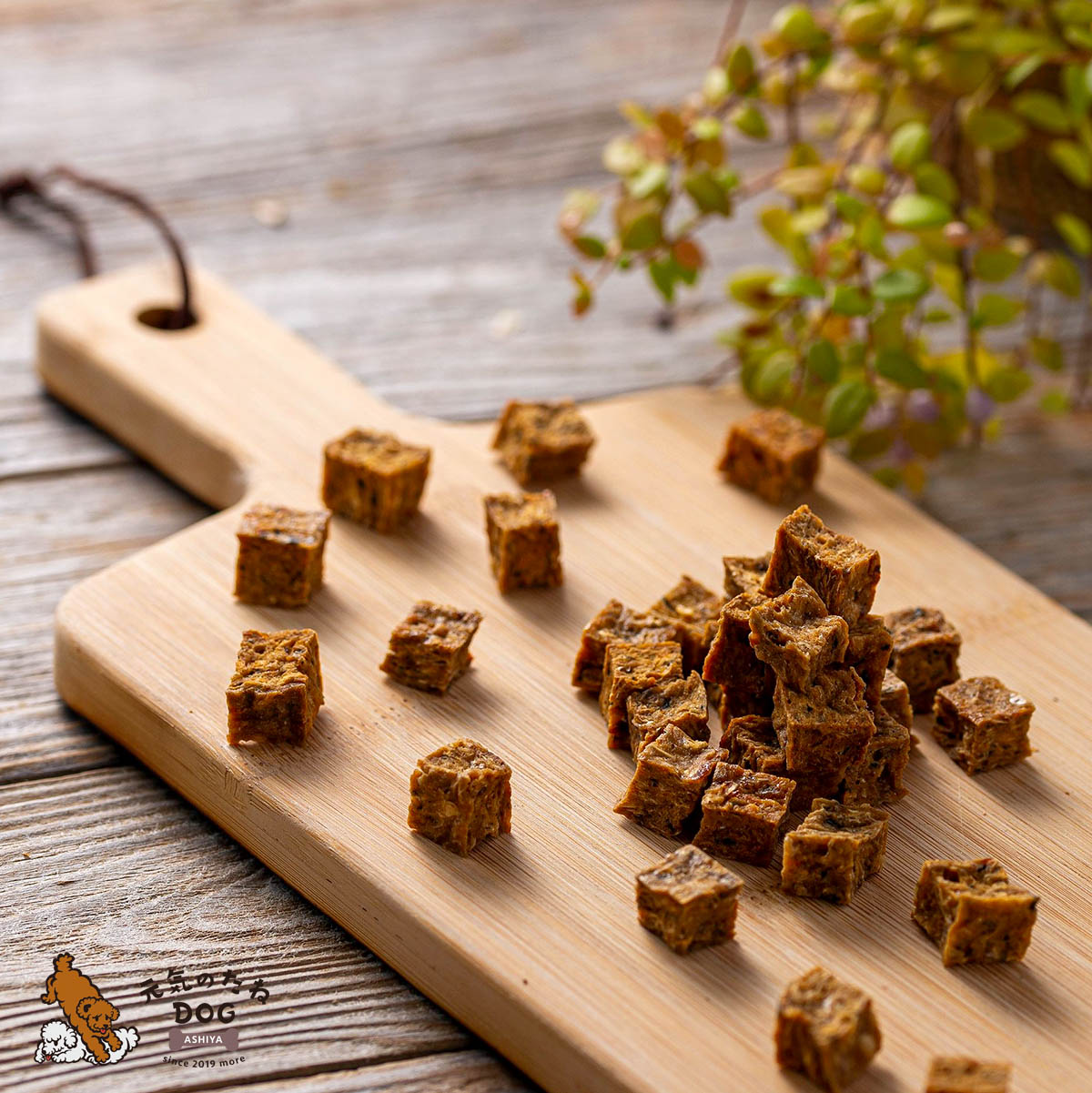 犬 猫 おやつ 国産 無添加 鮭 無塩 デリシャスキューブ 500g サーモン プレゼント ドックフード ドッグフード 犬用 猫用 ペット 犬のおやつ ご褒美 フード プレゼント ペット用 犬 猫 おやつ 国産 無添加 鮭 無塩 デリシャスキューブ 500g サーモン プレゼント ドックフード ドッグフード 犬用 猫用 ペット 犬のおやつ ご褒美 フード プレゼント ペット用