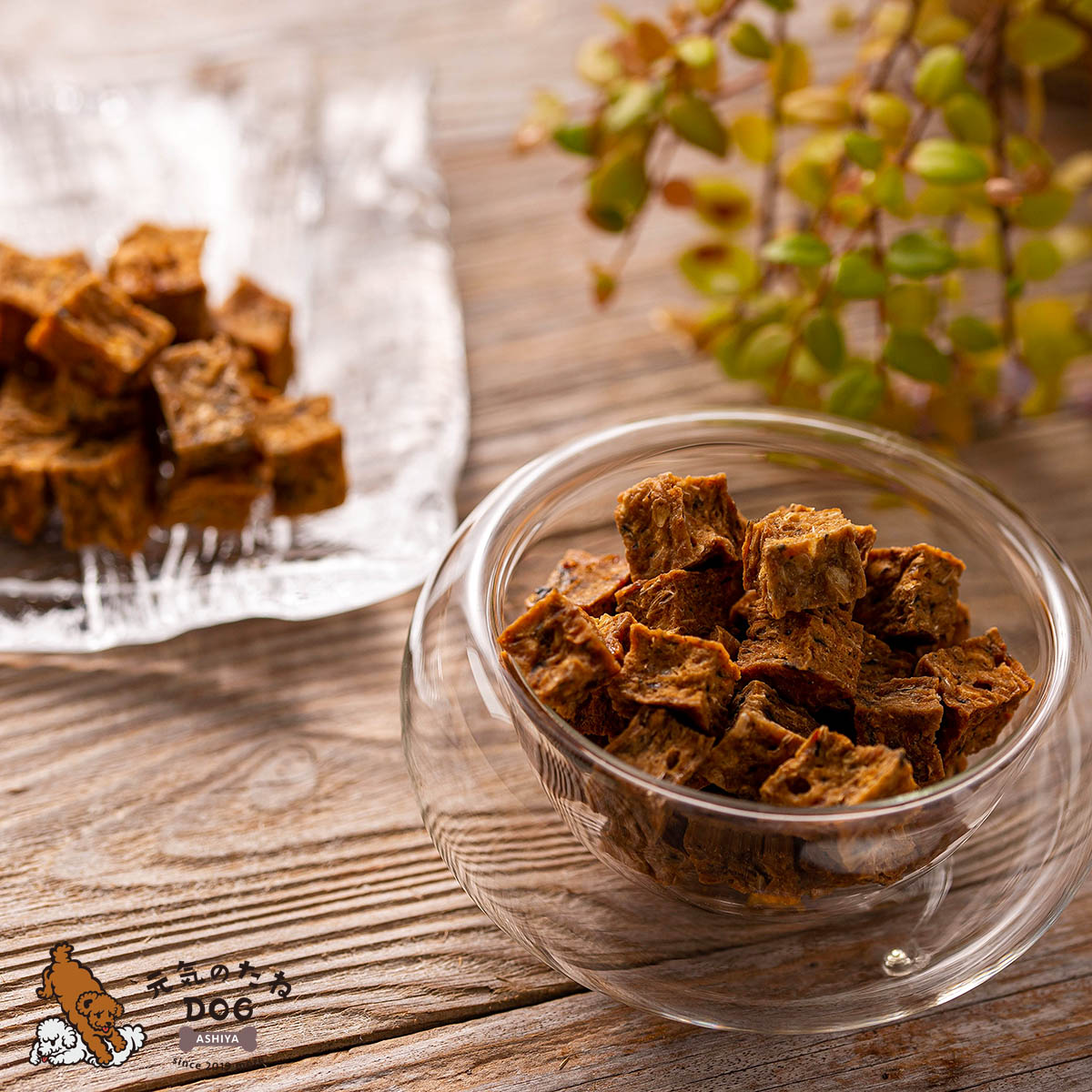 犬 猫 おやつ 国産 無添加 鮭 無塩 デリシャスキューブ 500g サーモン プレゼント ドックフード ドッグフード 犬用 猫用 ペット 犬のおやつ ご褒美 フード プレゼント ペット用 犬 猫 おやつ 国産 無添加 鮭 無塩 デリシャスキューブ 500g サーモン プレゼント ドックフード ドッグフード 犬用 猫用 ペット 犬のおやつ ご褒美 フード プレゼント ペット用