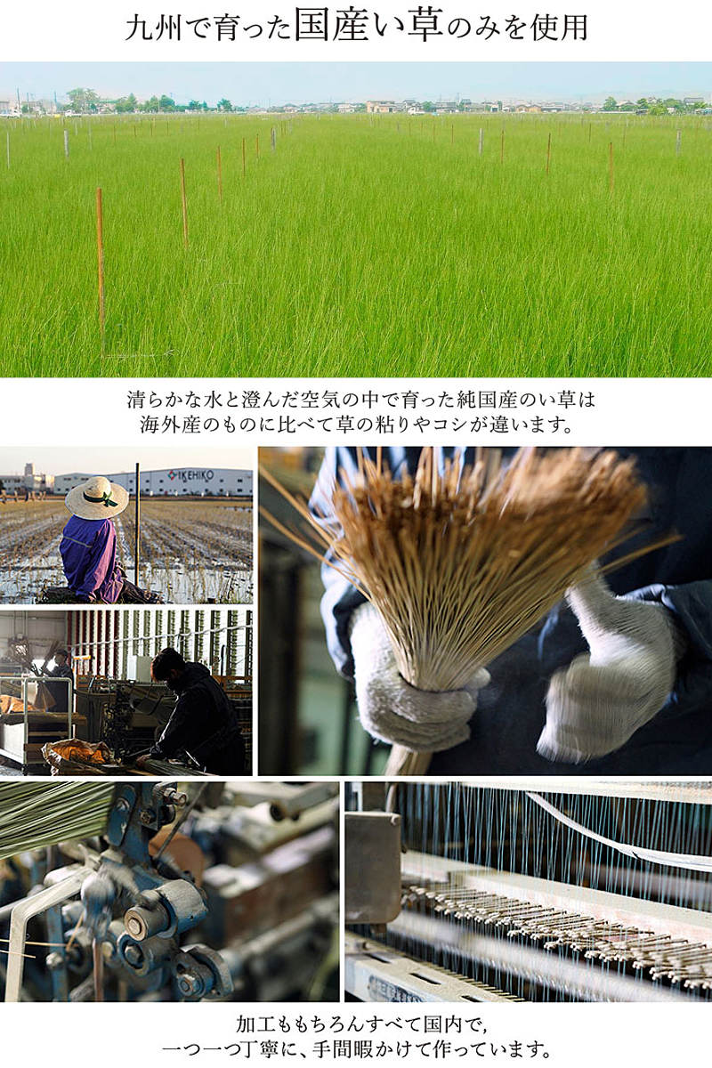 い草上敷き 純国産 い草ラグカーペット DXランクス総色 約191x191cm 裏貼りあり 敷物 ラグ マット い草マット い草カーペット 絨毯 ござ センターラグ 正方形 畳める コンパクト