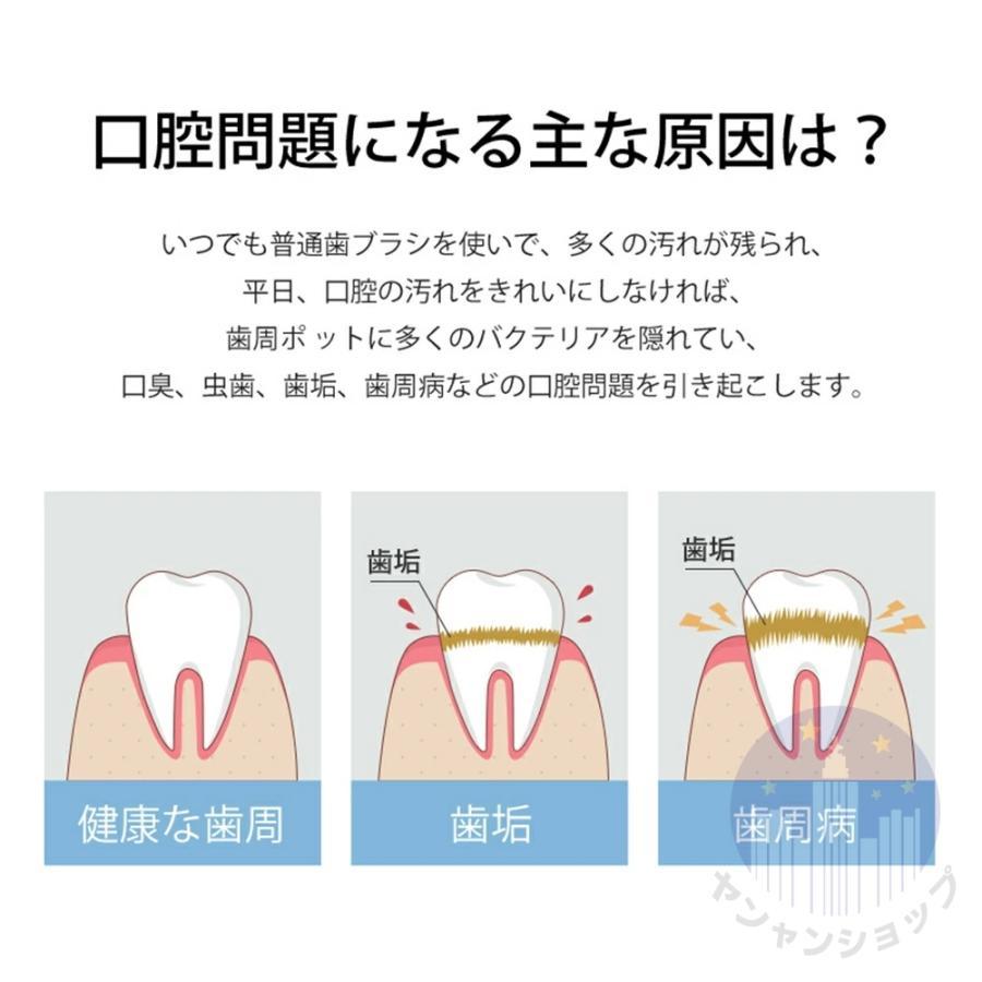 口腔洗浄器 歯垢除去 口腔洗浄機 ジェットウォッシャー オーラルケア 口内洗浄機 歯周ポケット 歯間 家庭用 800ml大容量 取り付け動画 防水防滴