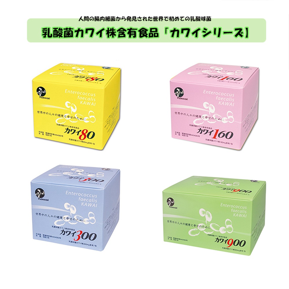 【正規代理店】kawai カワイ 300 乳酸球菌カワイ株 300mg含有/包 1g 100包 スティックタイプ 健康食品 健康サプリ 乳酸菌 サプリメント 河合乳酸菌