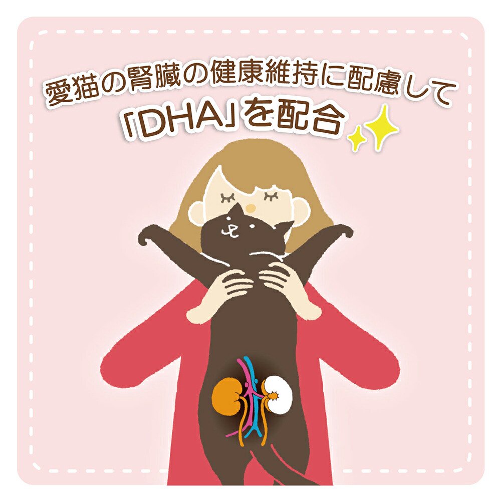 アイシア　腎活　まぐろペースト　４０ｇX４８　猫　キャットフード　ウェット　ＣＲＣ35―20―05―35―40