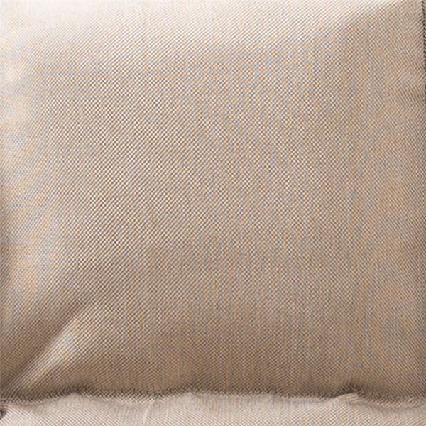 ds-2336046 カウチソファー/ローソファー... : 家具・インテリア : コンパクト 定番豊富な