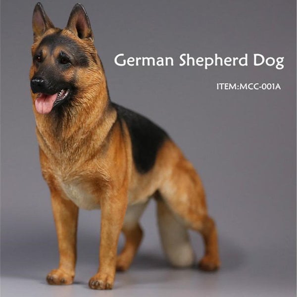 のん　ジャーマンシェパード　【A】 ジャーマンシェパード】2頭目はブリーダーさんからか、保護犬