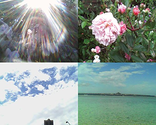 Kenko デジタルカメラ DSC Pieni 131万画素 動画・静止画撮影可能 スカイブルー DSC-PIENI-SB