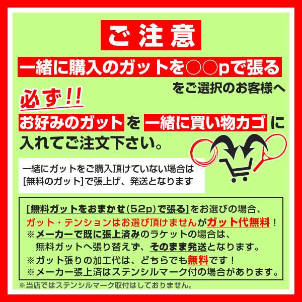 希少レア！バボラ(Babolat) 2016 PUREAERO AERO TOUR ピュアアエロ ツアー (315g) 海外正規品 硬式テニスラケット 101306-グリーン[NC]