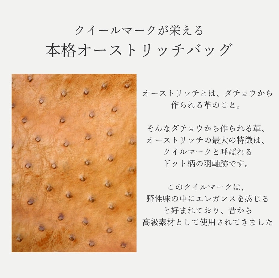 Costoromaオーストリッチ ポーチウォレット（モカ） お財布ポシェット ポーチウォレット ク