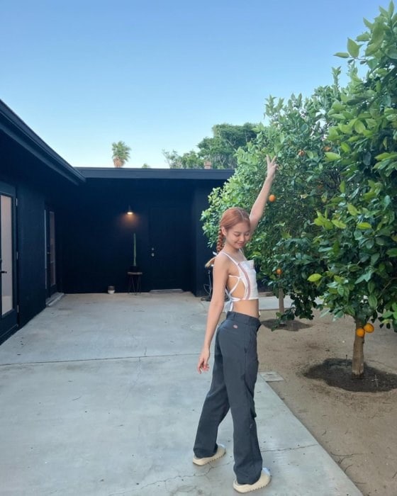 BLACKPINKジェニも履いてる! ディッキーズ 874って？ . Dickies