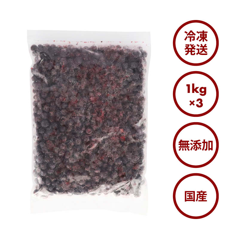 [前田家] 国産 熊本県産 ブルーベリー 冷凍 1kg(1000g) x 3袋 無添加 ばら バラ