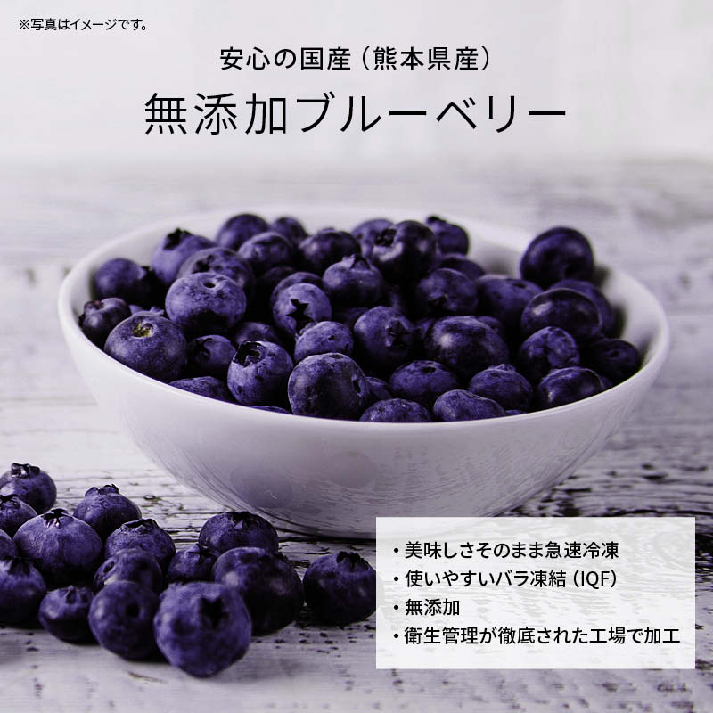 [前田家] 国産 熊本県産 ブルーベリー 冷凍 1kg(1000g) x 3袋 無添加 ばら バラ