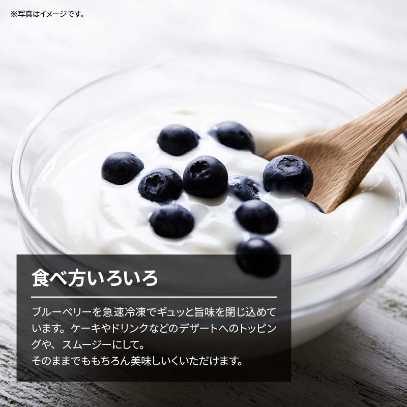 [前田家] 国産 熊本県産 ブルーベリー 冷凍 1kg(1000g) x 3袋 無添加 ばら バラ