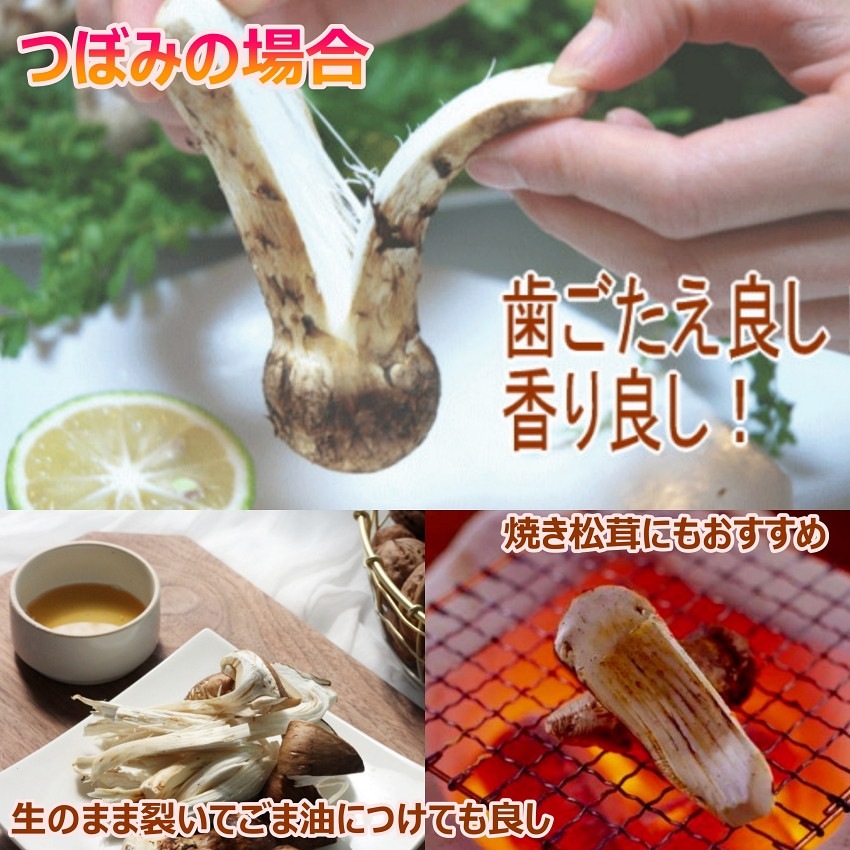 松茸 2024 中国産 【つぼみ】1kg 秋の味覚 鮮度がよく 香り豊かな 生松茸 プレゼント 秋のバーベキュー パーティー【Bigイベント】 家族団らん