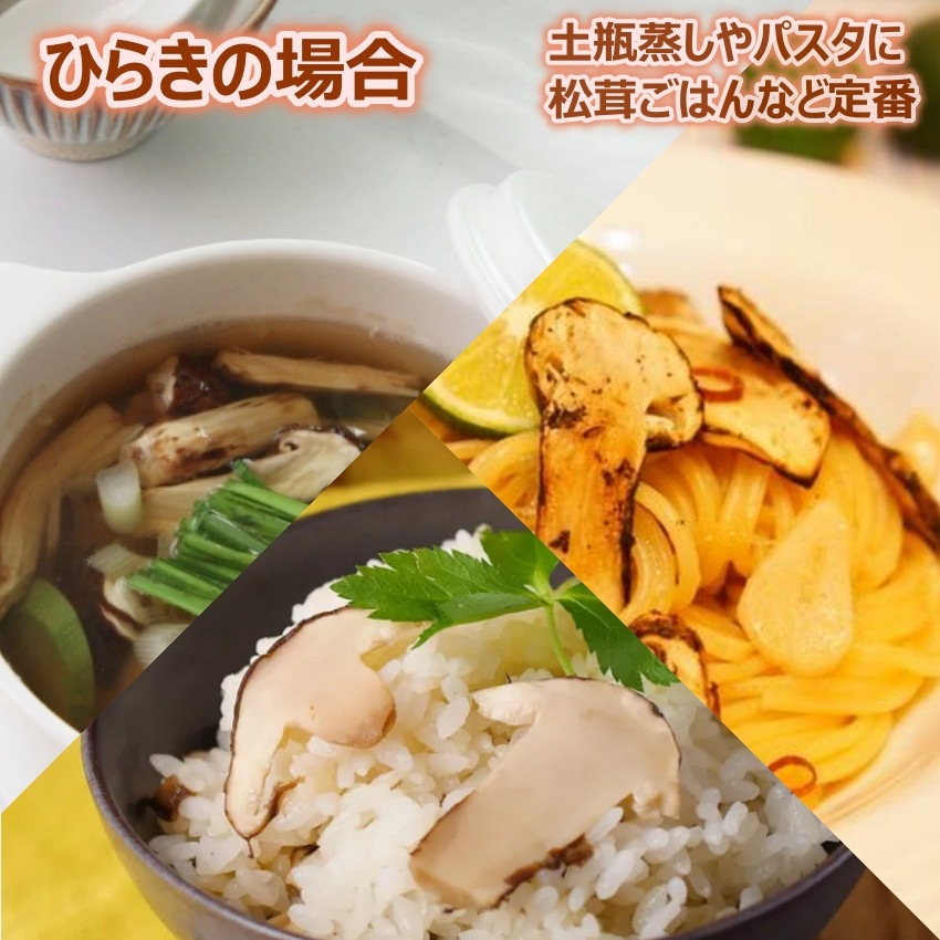 松茸 2024 中国産 【つぼみ】1kg 秋の味覚 鮮度がよく 香り豊かな 生松茸 プレゼント 秋のバーベキュー パーティー【Bigイベント】 家族団らん