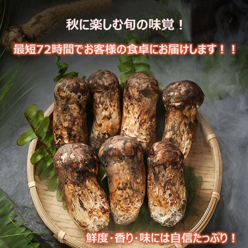 松茸 2024 中国産 【つぼみ】1kg 秋の味覚 鮮度がよく 香り豊かな 生松茸 プレゼント 秋のバーベキュー パーティー【Bigイベント】 家族団らん