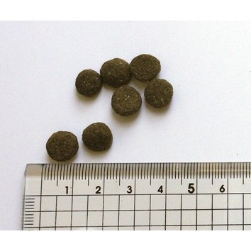 ブラックウッド 3000 2.7kg【プレゼント お散歩ハンディシャワー Sサイズ アイボリー付】 ブラックウッド 3000 2.7kg【プレゼント お散歩ハンディシャワー Sサイズ アイボリー付】