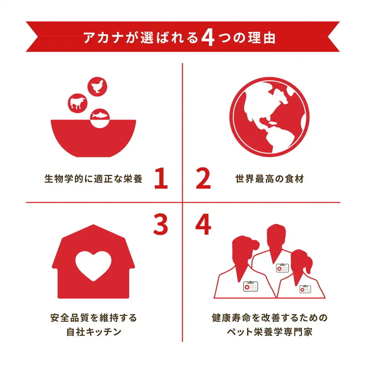 アカナ パピーラージブリードレシピ 11.4kg 子犬用 大型犬用 期限26/06/08以降 アカナ パピーラージブリードレシピ 11.4kg 子犬用 大型犬用 期限26/06/08以降