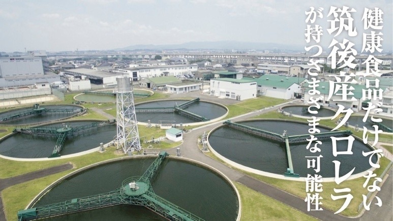 クロレラキング 2000粒 サプリメント 国産 クロレラ クロレラキング 2000粒 サプリメント 国産 クロレラ