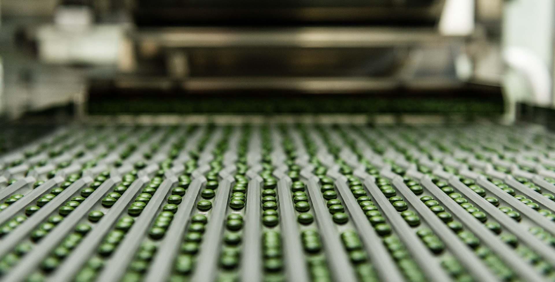 クロレラキング 2000粒 サプリメント 国産 クロレラ クロレラキング 2000粒 サプリメント 国産 クロレラ