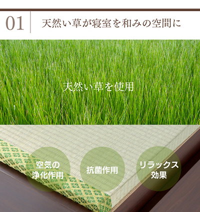 国産日本製 日本製 天然い草 収納ベッド [ハイタイ : 寝具・ベッド・マットレス 在庫高品質