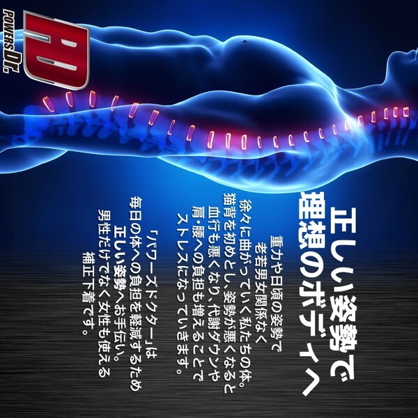 大河商事 POWERS Dr.002 背筋ベルト XL ブラック 大河商事 POWERS Dr.002 背筋ベルト XL ブラック