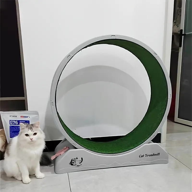 1pc キャットローラートレッドミルの屋内組み立て静音フィットネスキャットランニングホイールペットキャット用プラスチックトレッドミル 1pc キャットローラートレッドミルの屋内組み立て静音フィットネスキャットランニングホイールペットキャット用プラスチックトレッドミル