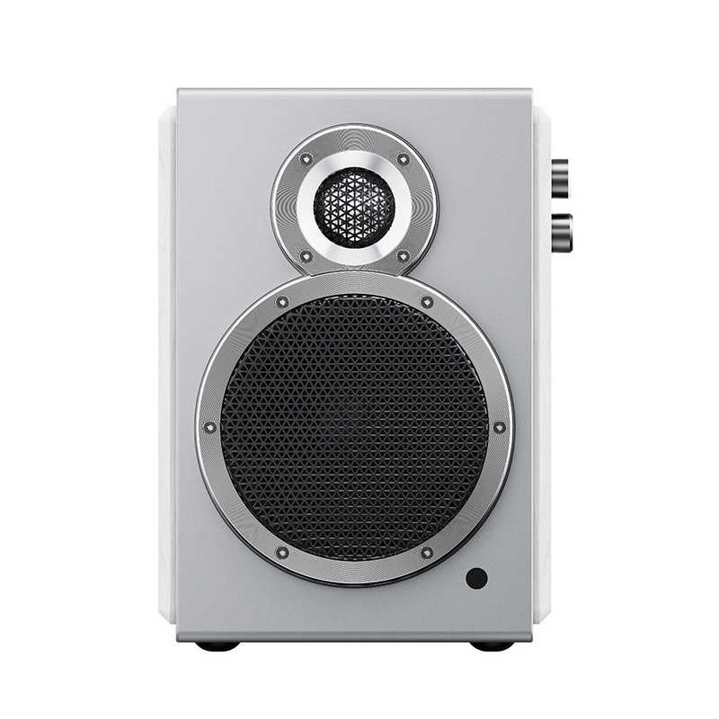 FIIO　SA1 ［ハイレゾ対応 / 2本］ White　FIO-SA1-W