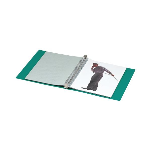 (まとめ) コクヨ クリヤーブック(クリアブック)(替紙式) A4タテ 30穴 23ポケット付属 背幅34mm 緑 ラ-460G 1冊 (×10セット) (まとめ) コクヨ クリヤーブック(クリアブック)(替紙式) A4タテ 30穴 23ポケット付属 背幅34mm 緑 ラ-460G 1冊 (×10セット)