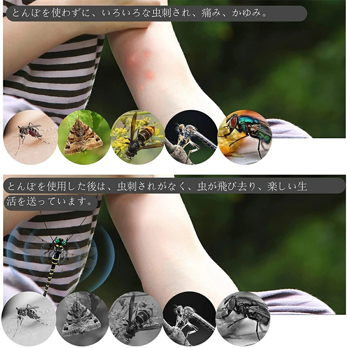 韓国ファッション 虫対策とんぼ (3匹 12cm級) 虫対策グッズ ストラップ 安全ピン 虫対策 庭 動物 昆虫 おもちゃ 模型 釣り用品 つり スズメバチ 蜂対策グッズ とんぼ キーホルダー 韓国ファッション 虫対策とんぼ (3匹 12cm級) 虫対策グッズ ストラップ 安全ピン 虫対策 庭 動物 昆虫 おもちゃ 模型 釣り用品 つり スズメバチ 蜂対策グッズ とんぼ キーホルダー