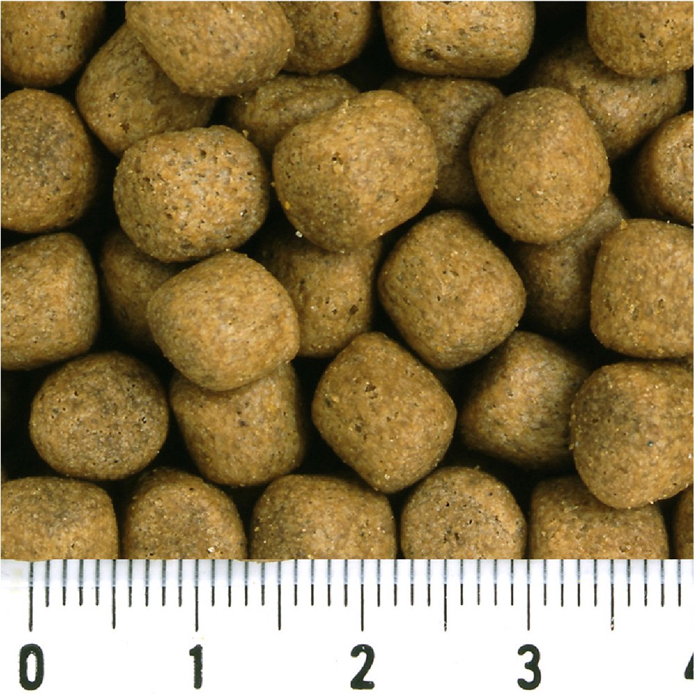 鯉の餌　咲ひかり　育成用　浮上　Ｌ　１５ｋｇ　錦鯉　餌　飼料　ＣＲＣ10―41―70―10―00