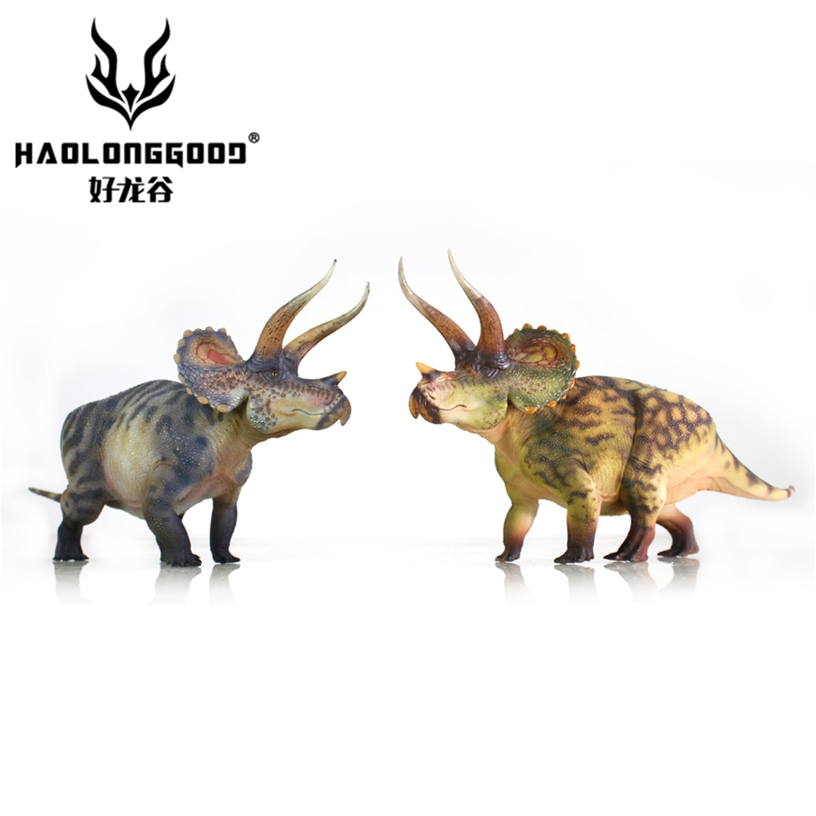HAOLONGGOOD 1/35 サイズ トリケラトプス フィギュア 23cm級 PVC