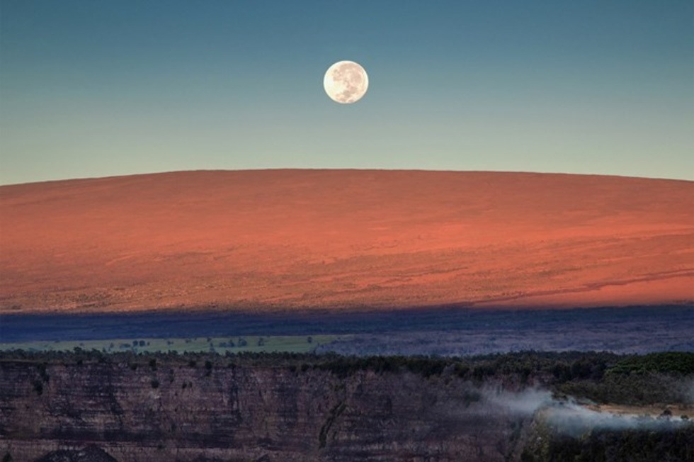 有機ウイレライキハニー255ｇ6個セット