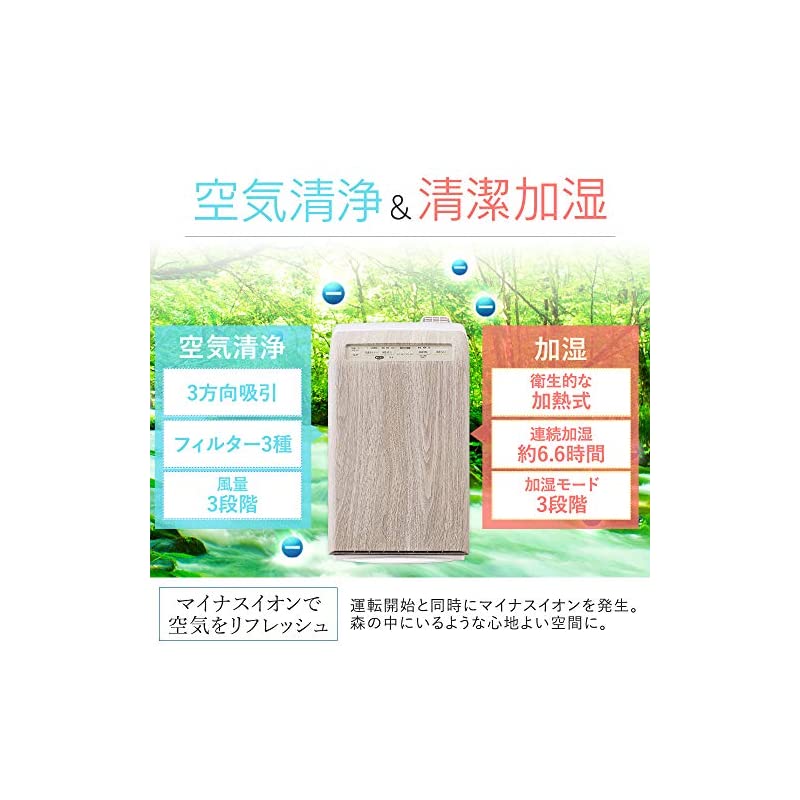 【即納】アイリスオーヤマ 空気清浄機 加湿機能付き 10畳 マイナスイオン 脱臭 花粉 加熱式 デザインモデル 薄木目 RHF-253-TM