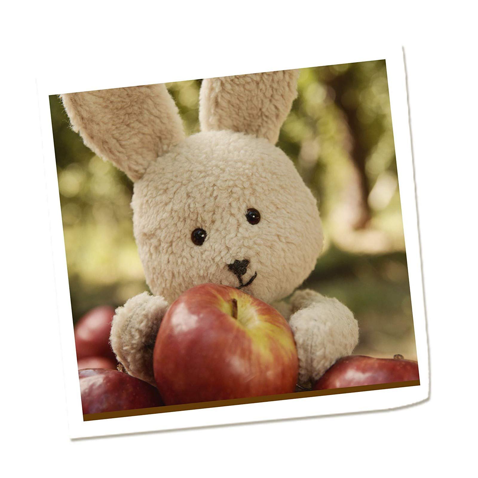 ミトク ベビービオ オーガニック ベビースムージー アップル・ストロベリー・バニラ 90g×14個