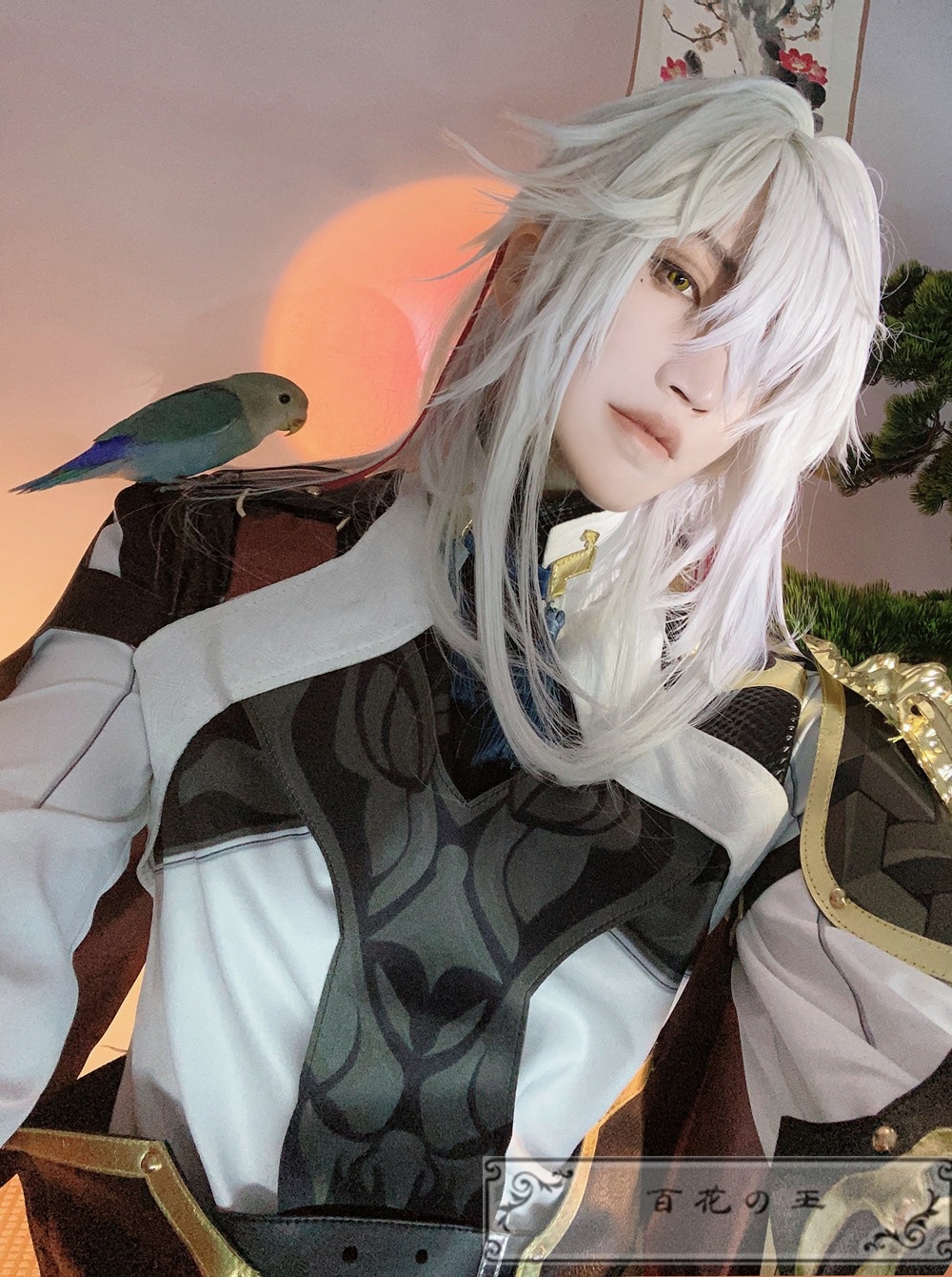 崩壊スターレイル 景元 けいげん コスプレ衣装 コスチューム ハロウィン 崩壊スターレイル 景元 けいげん コスプレ衣装 コスチューム ハロウィン