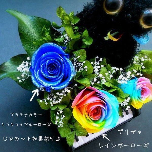 クロネコ レインボーローズ ブルーローズ ダイヤモンドプリザーブド