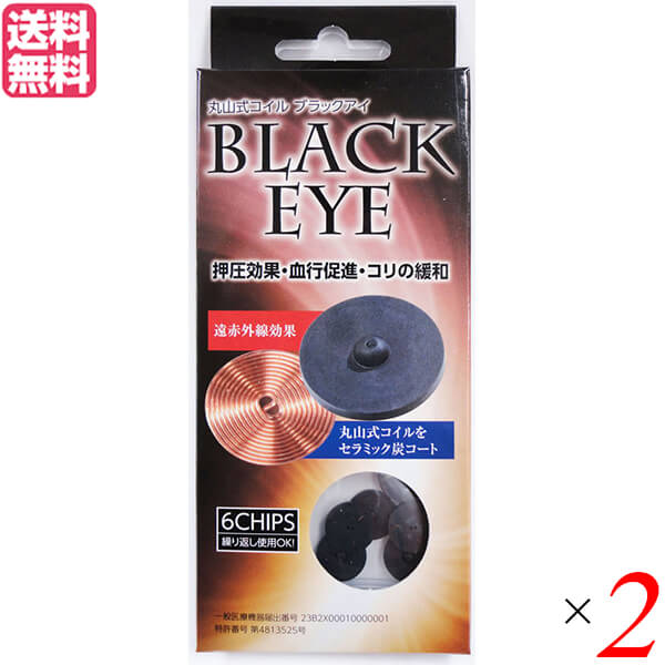 丸山式コイル ブラックアイ 6個入り 2個セット 一般医療機器 アンペールの法則 磁気 電流