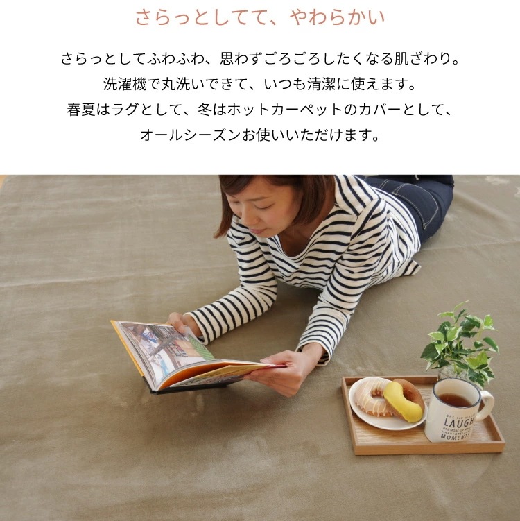 ラグ カーペット 3畳 洗える 抗菌 防臭 無地 『リーマ』 約200×250cm （ホットカーペット対応）【 カーペット ホットカーペットカバー対応 3畳 】LF695B02b00