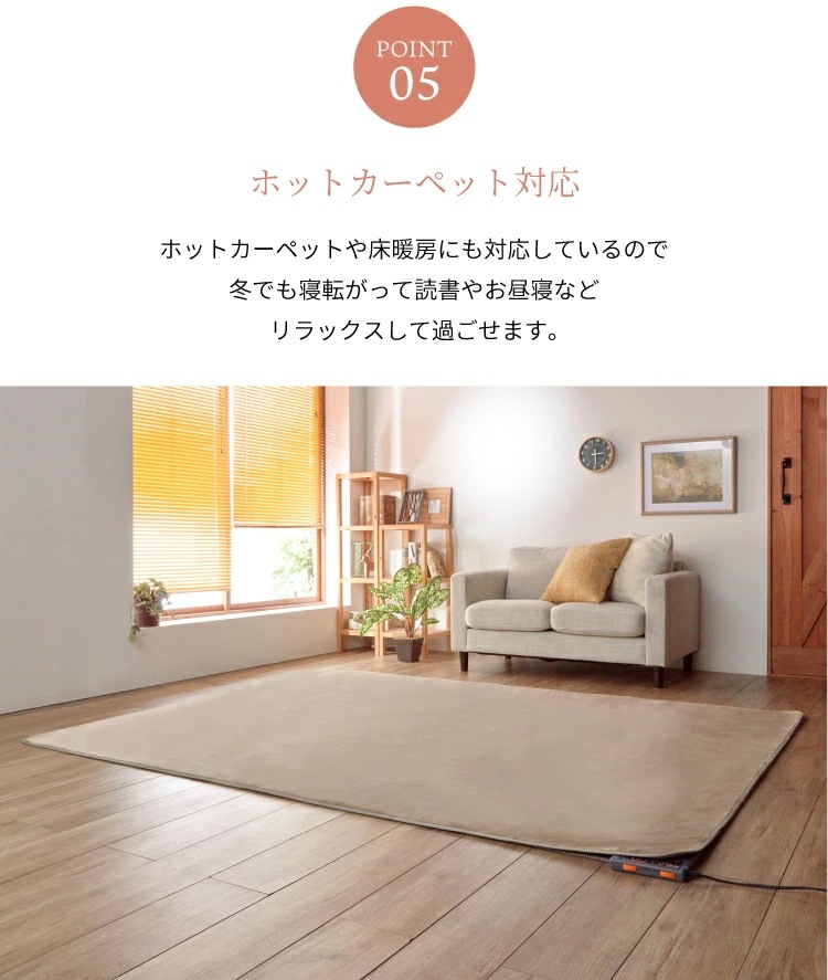 ラグ カーペット 3畳 洗える 抗菌 防臭 無地 『リーマ』 約200×250cm （ホットカーペット対応）【 カーペット ホットカーペットカバー対応 3畳 】LF695B02b00