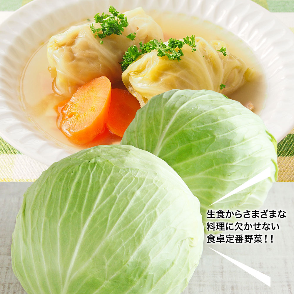 【4種セット-3】野菜セットC（キャベツたまねぎピーマンにんじん）4種セット きゃべつ 玉ねぎ ぴーまん 人参 定番 万能 おうちごはん おうち時間 ご家庭用 大量