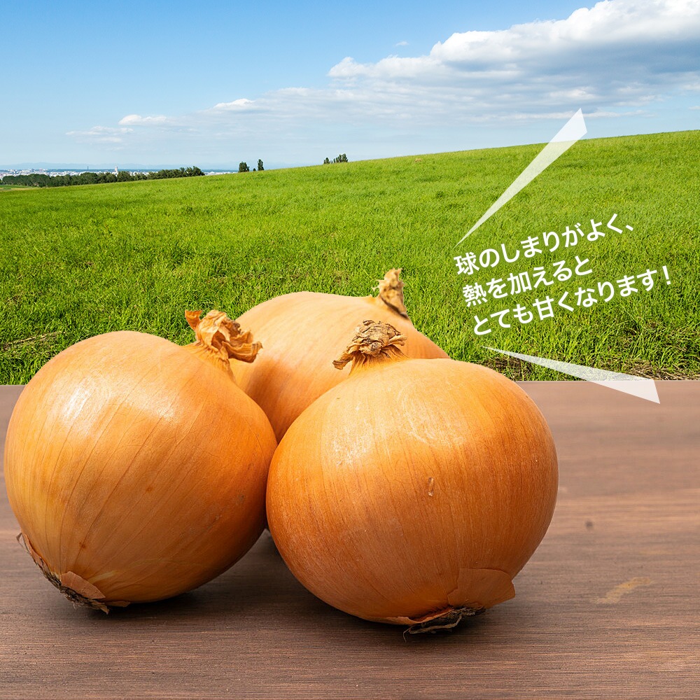 【4種セット-3】野菜セットC（キャベツたまねぎピーマンにんじん）4種セット きゃべつ 玉ねぎ ぴーまん 人参 定番 万能 おうちごはん おうち時間 ご家庭用 大量