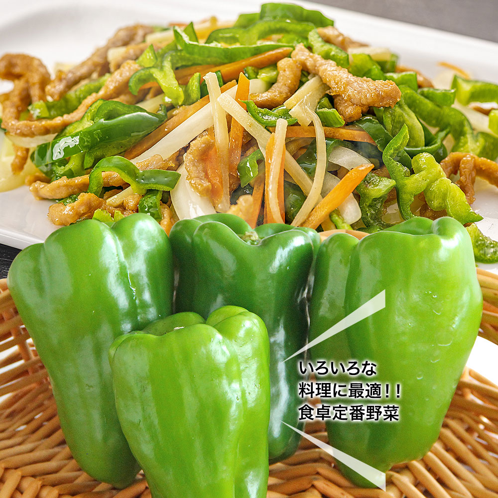 【4種セット-3】野菜セットC（キャベツたまねぎピーマンにんじん）4種セット きゃべつ 玉ねぎ ぴーまん 人参 定番 万能 おうちごはん おうち時間 ご家庭用 大量