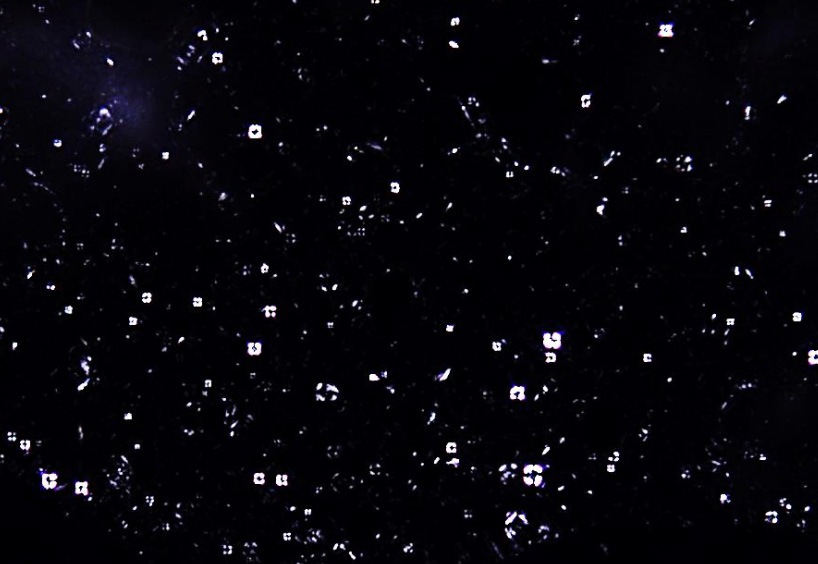 貴肌美 ラメストケア 部分用クリーム 30g 貴肌美 ラメストケア 部分用クリーム 30g