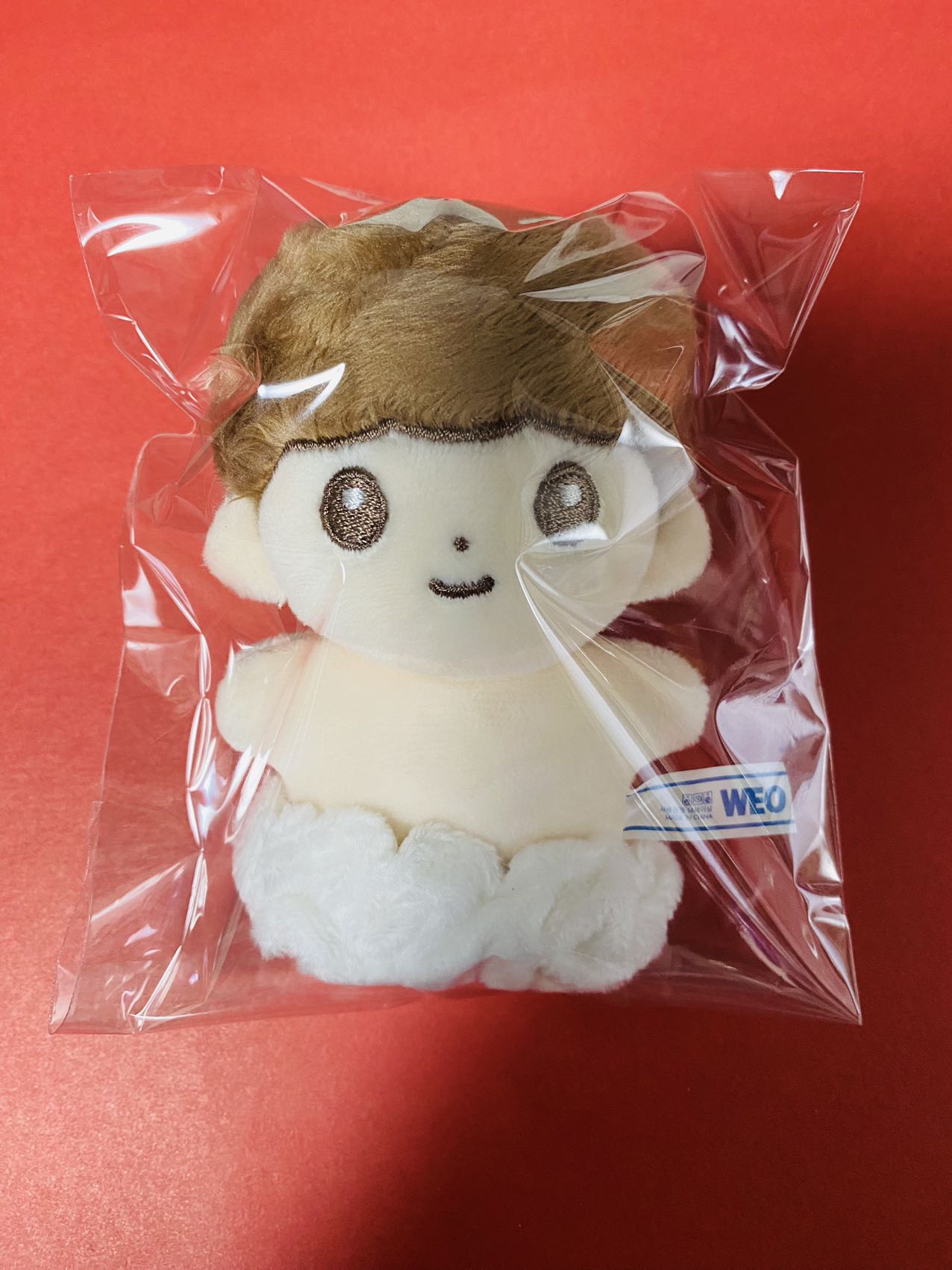 THEBOYZ ドボイズ ヨンフン ぬいぐるみ 着ぐるみ付き