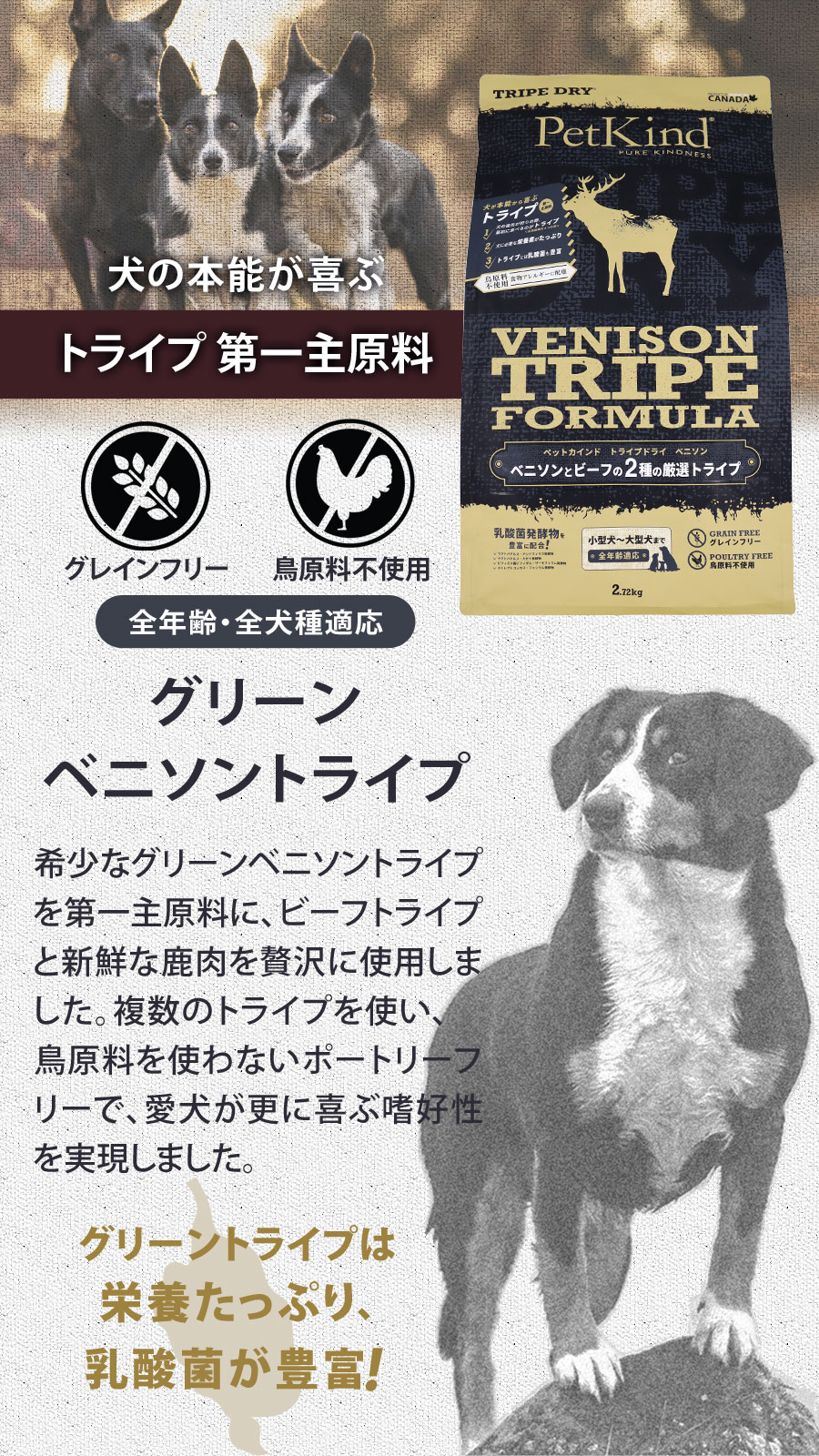 トライプドライ ベニソントライプ 2.72kg トライプドライ ベニソントライプ 2.72kg