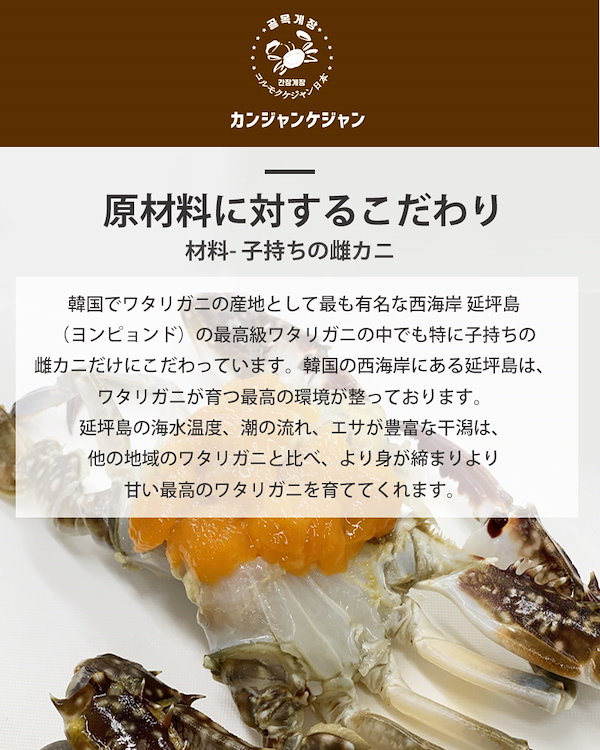 伝統 カンジャンケジャン 500g 甘い生のカニ  特製 醤油 ケジャン カニ 蟹 かに わたりかに 手作り 無添加 本場の味 国内生産