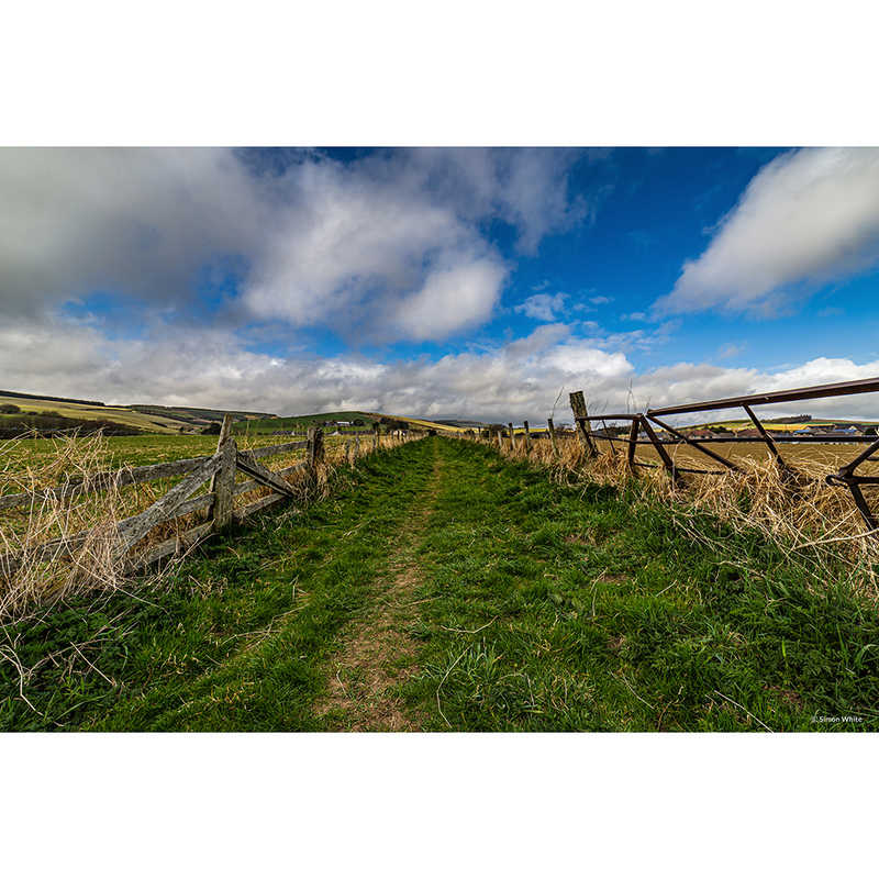 SAMYANG　カメラレンズ (マイクロフォーサーズ用)　MF 14mm F2.8 MK2