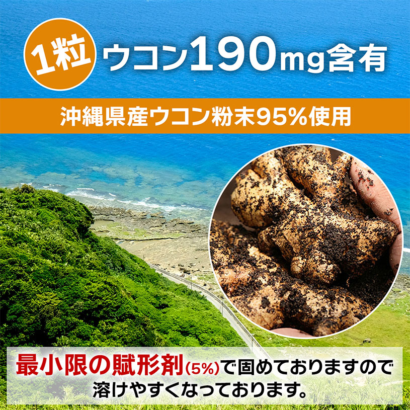 沖縄県産 春ウコン 粒 150ｇx3袋 約2250粒 栽培期間中農薬不使用 クルクミン ミネラル豊富 約225日分 [01]